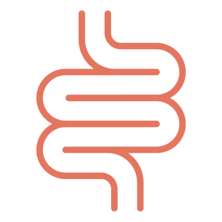 guthealthicon - Eat Your Nutrition™