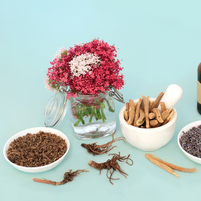 Adaptogenic Herbs: Power Tool in Holistic Health