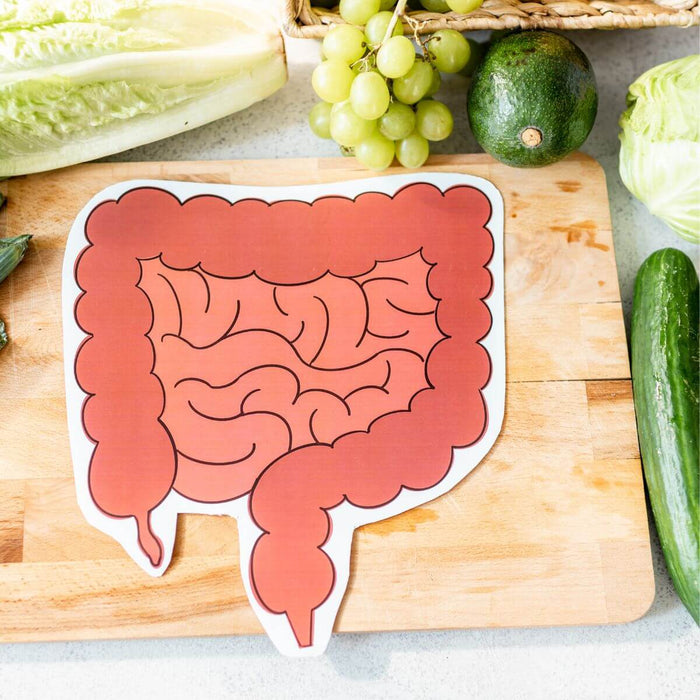Daily Struggle Living With Gut Inflammation