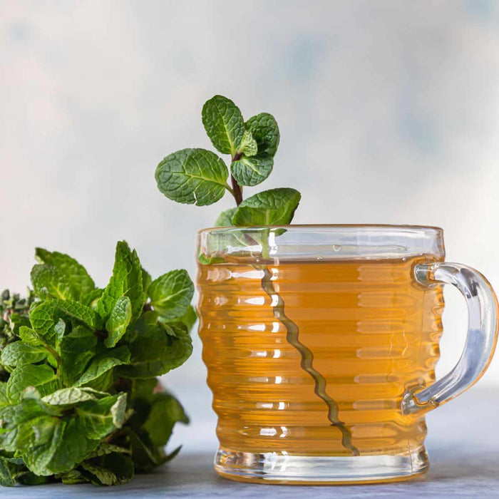 Gut Healthy Digestion Peppermint Tea Recipe