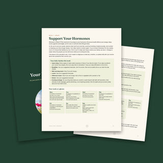 Week 3 hormone lesson, Week 1 divider and Week 4 sugar swaps lesson pages