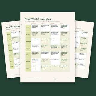 Weekly meal plan pages with breakfast, lunch, dinner and snacks, leftovers marked